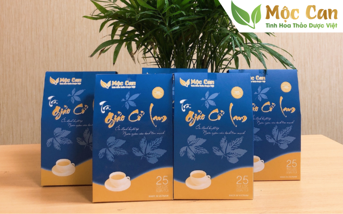 Công dụng của trà giảo cổ lam với bệnh mỡ máu cao 4